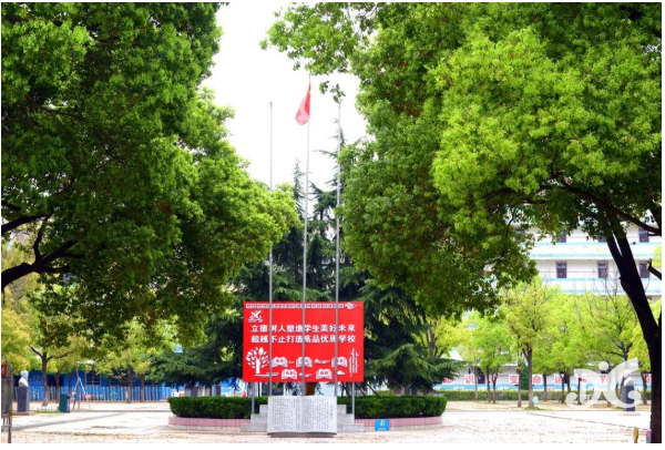 1658299520537940.png image.png