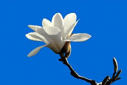 1579228488556449.jpg 201412050943353886.jpg