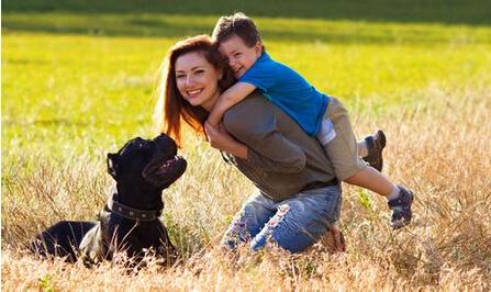 1579242148761964.jpg 201412091042561979.jpg