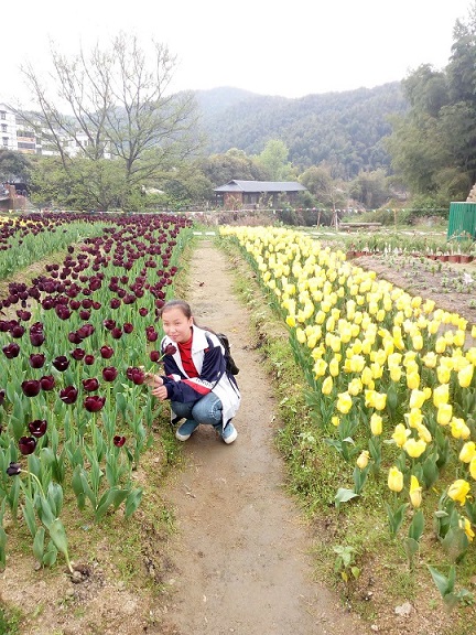 1579249428937986.jpg 201808011727326178.jpg