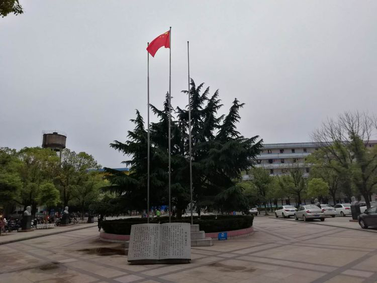 1579249619819775.png 1.png